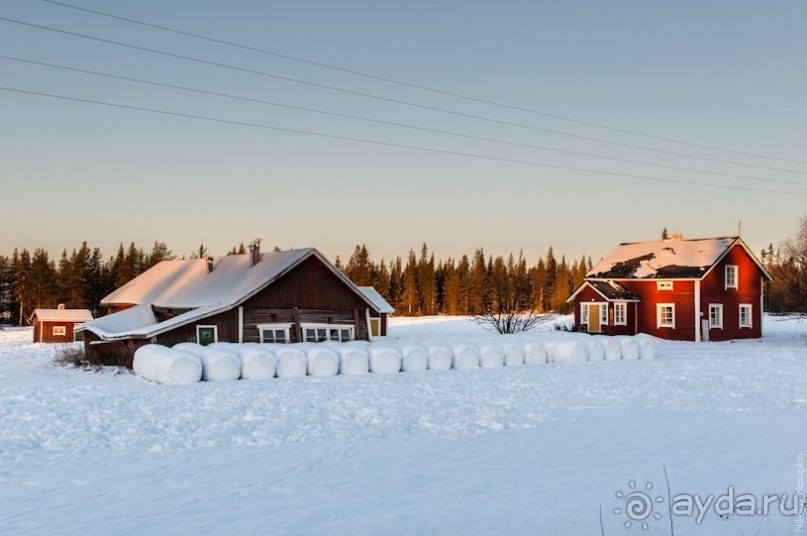 Альбом отзыва "Лапландия зимой - это не только Санта!"