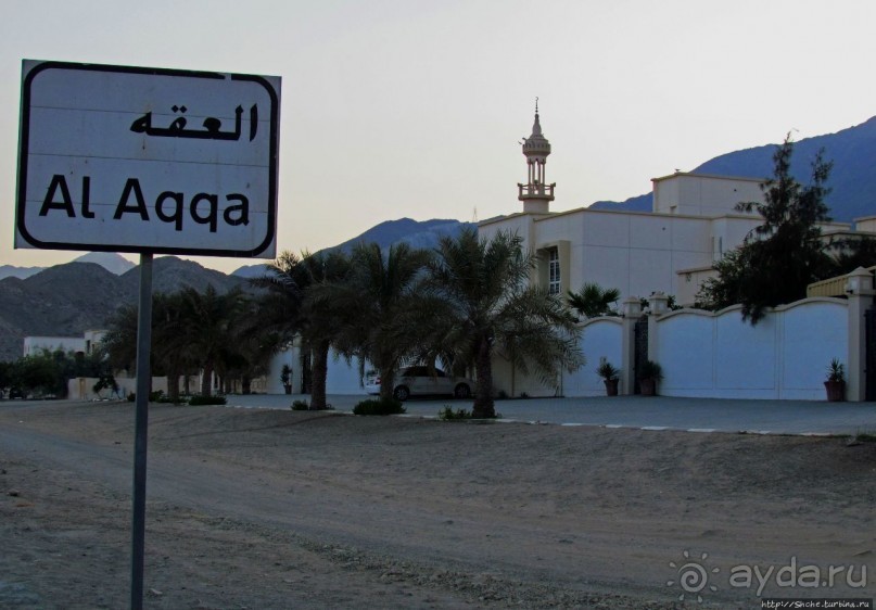 Альбом отзыва "Al Aqqa — просто обречена на процветание"