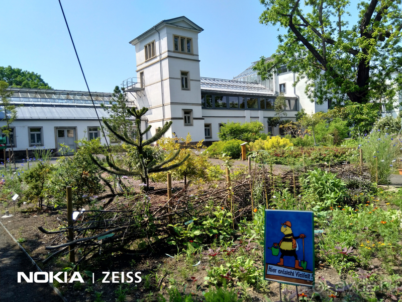 Альбом истории "Cаксония, Германия. Лейпцигский зоопарк и Ботанический сад."