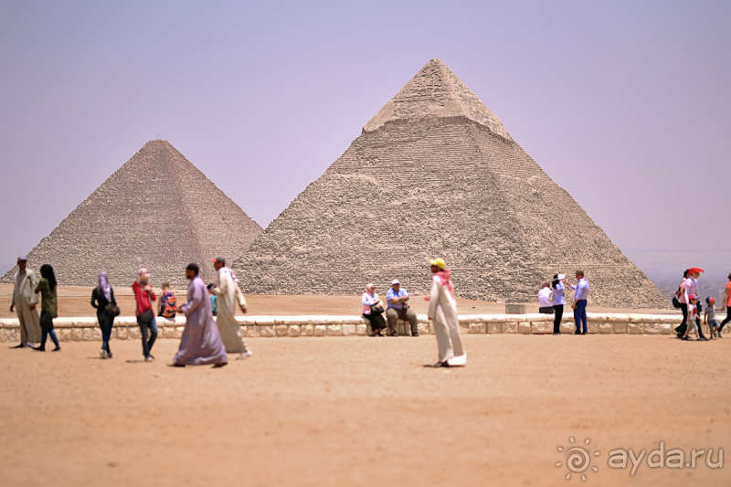 Альбом истории "Почему путевки в Египет всегда актуальны?"